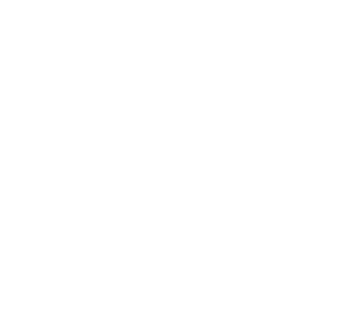 Virginia Symphony Orchestra Logo