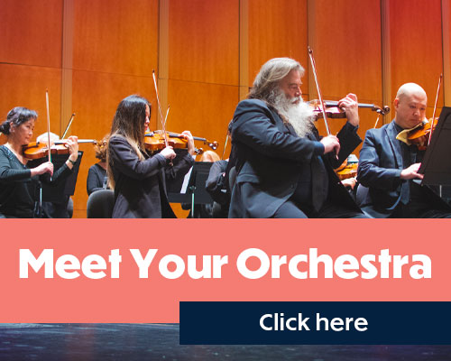Meet Your Orchestra - Click Here
