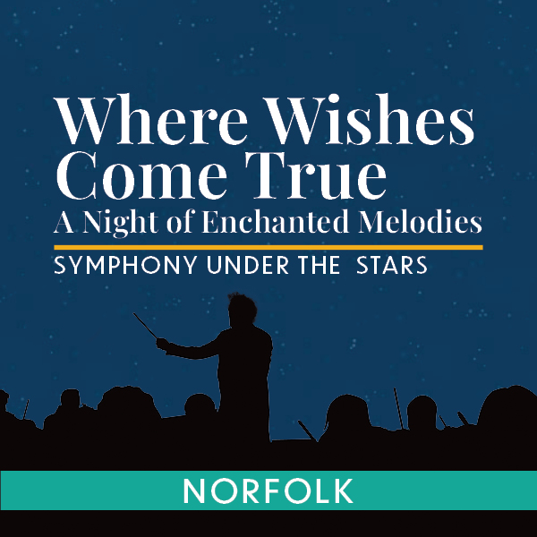 Where Wishes Come True: A Night of Enchanted Melodies