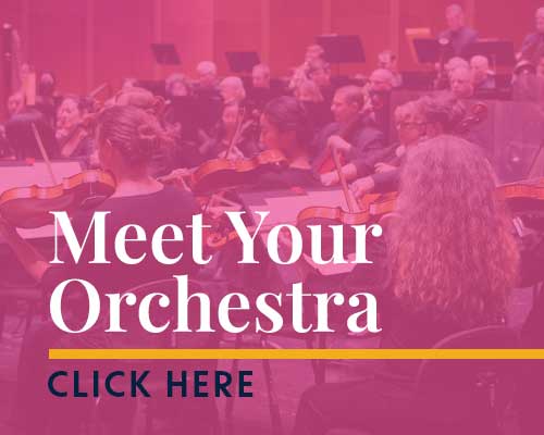 Meet Your Orchestra - Click Here